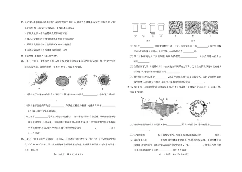 江西省上进联考2025-2026学年高一上学期11月期中考试&middot;生物_2025年11月高一试卷_251114江西省上进联考2025-2026学年高一上学期11月期中考试（全）