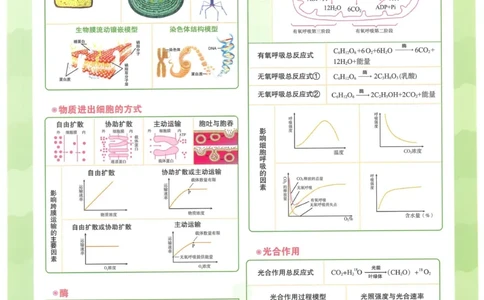 2023版《高中知识清单》生物全国版知识图谱_高中三年全科资料_高中三年全科资料_生物