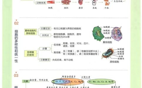 2023版《高中知识清单》生物全国版知识图谱_高中三年全科资料_高中三年全科资料_生物