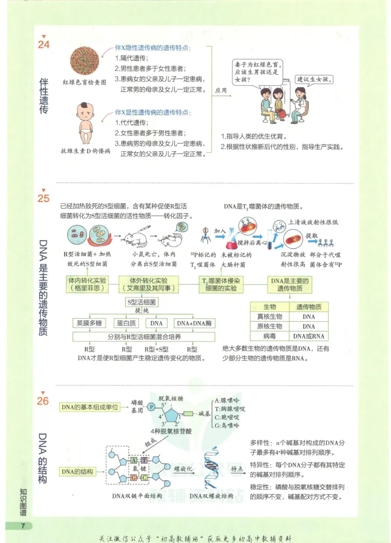 2023版《高中知识清单》生物全国版知识图谱_高中三年全科资料_高中三年全科资料_生物