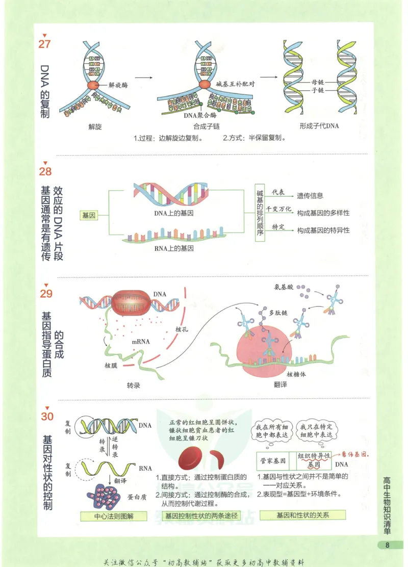 2023版《高中知识清单》生物全国版知识图谱_高中三年全科资料_高中三年全科资料_生物