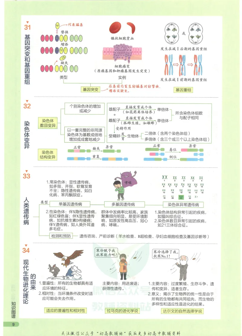 2023版《高中知识清单》生物全国版知识图谱_高中三年全科资料_高中三年全科资料_生物