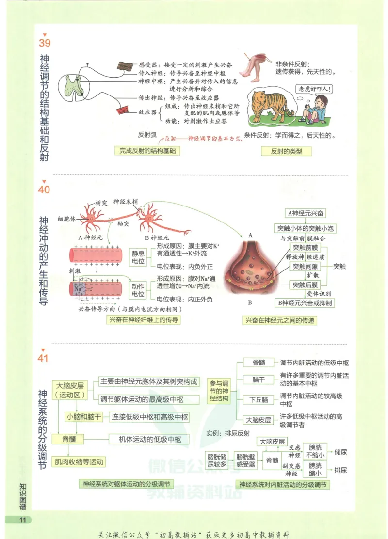 2023版《高中知识清单》生物全国版知识图谱_高中三年全科资料_高中三年全科资料_生物