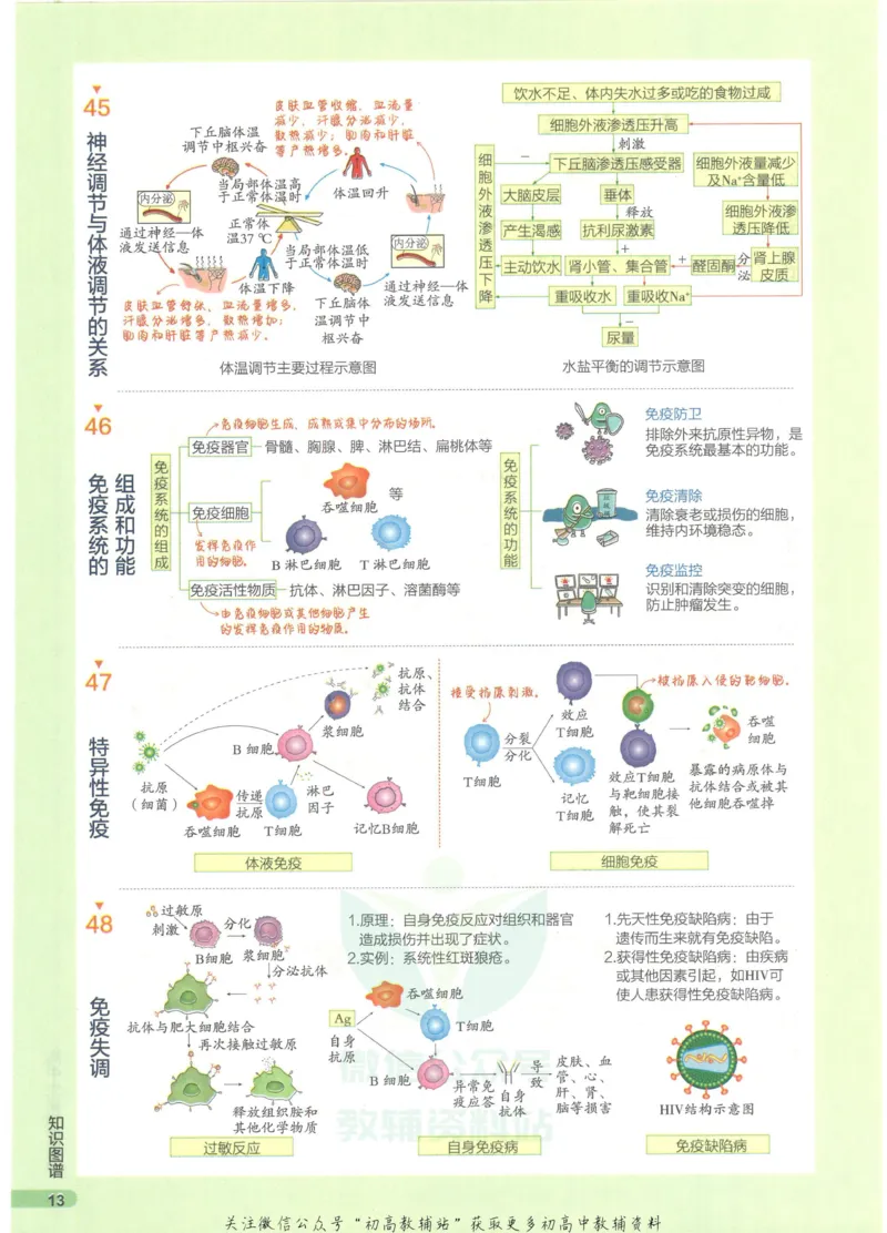 2023版《高中知识清单》生物全国版知识图谱_高中三年全科资料_高中三年全科资料_生物
