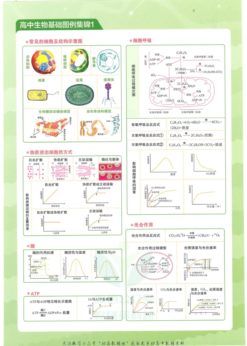2023版《高中知识清单》生物全国版知识图谱_高中三年全科资料_高中三年全科资料_生物