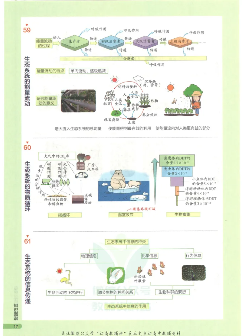 2023版《高中知识清单》生物全国版知识图谱_高中三年全科资料_高中三年全科资料_生物