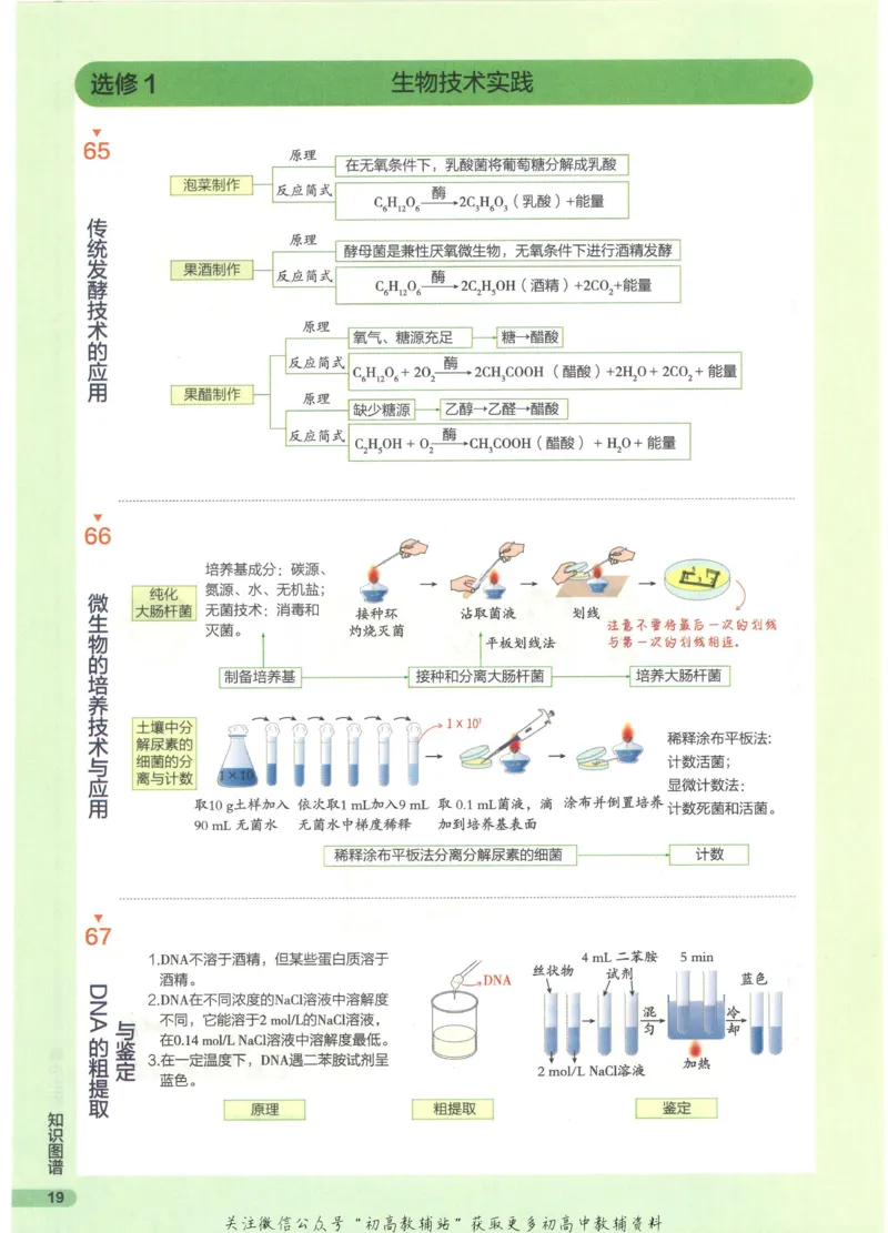 2023版《高中知识清单》生物全国版知识图谱_高中三年全科资料_高中三年全科资料_生物