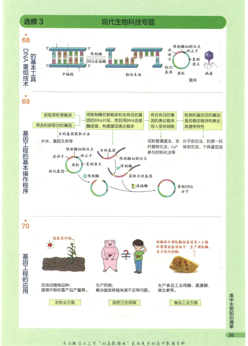 2023版《高中知识清单》生物全国版知识图谱_高中三年全科资料_高中三年全科资料_生物