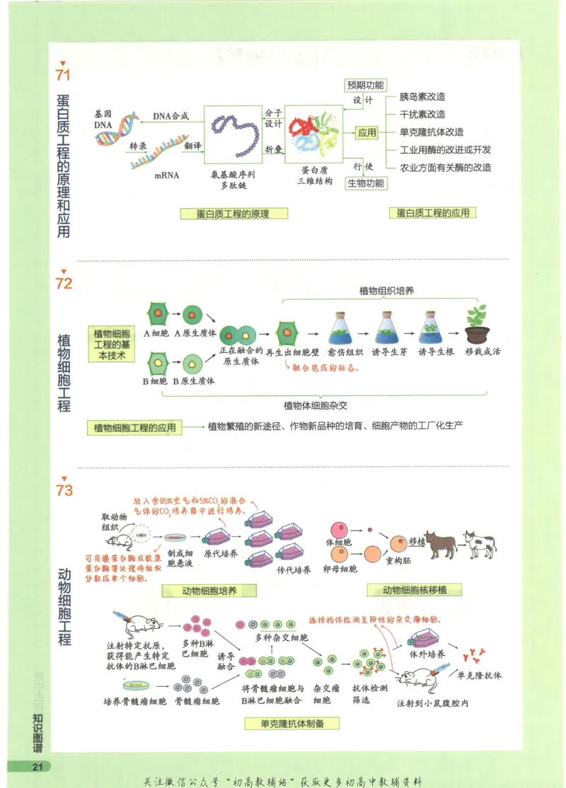 2023版《高中知识清单》生物全国版知识图谱_高中三年全科资料_高中三年全科资料_生物
