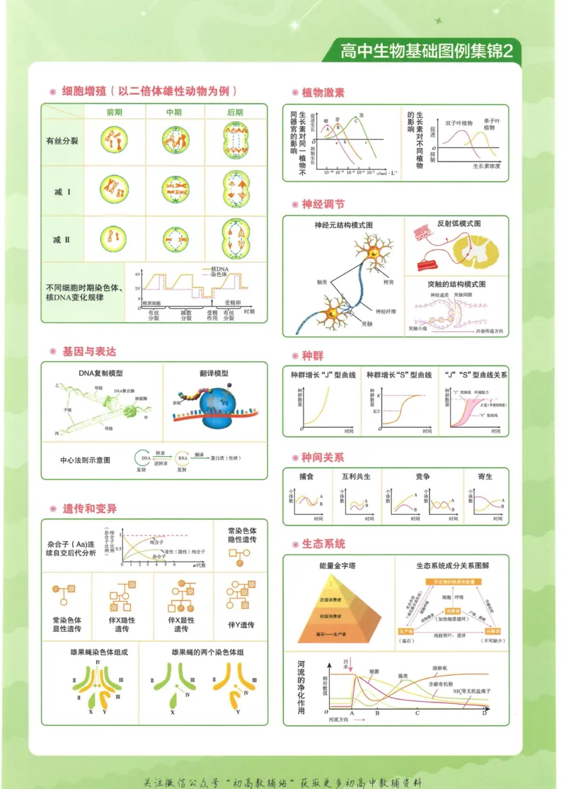 2023版《高中知识清单》生物全国版知识图谱_高中三年全科资料_高中三年全科资料_生物