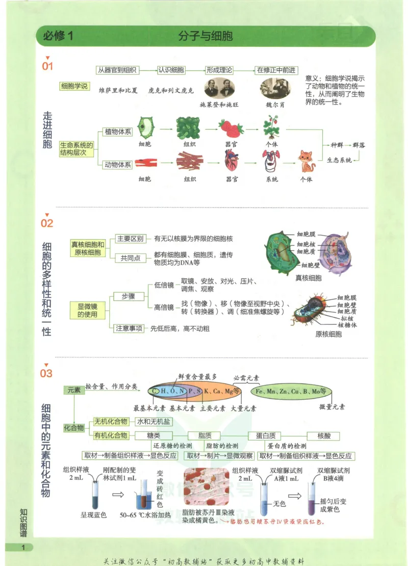 2023版《高中知识清单》生物全国版知识图谱_高中三年全科资料_高中三年全科资料_生物