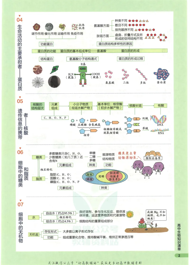 2023版《高中知识清单》生物全国版知识图谱_高中三年全科资料_高中三年全科资料_生物