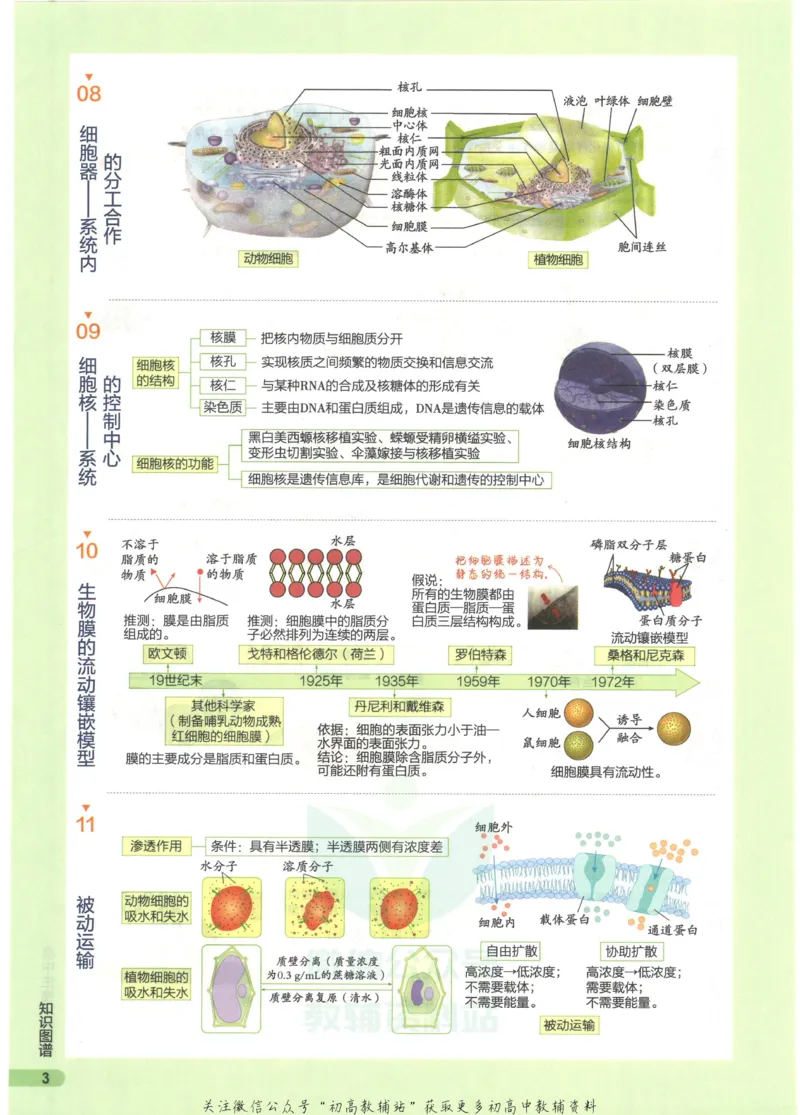 2023版《高中知识清单》生物全国版知识图谱_高中三年全科资料_高中三年全科资料_生物