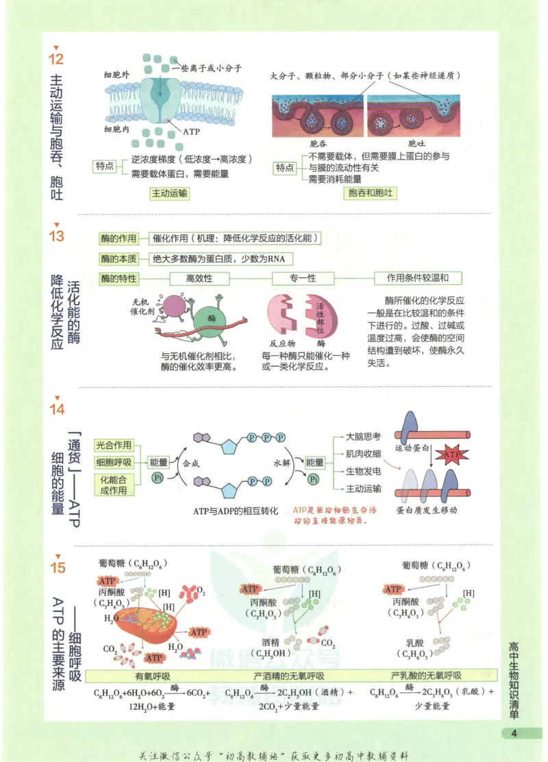 2023版《高中知识清单》生物全国版知识图谱_高中三年全科资料_高中三年全科资料_生物
