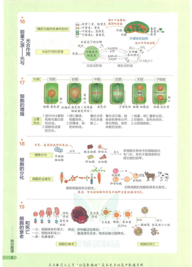2023版《高中知识清单》生物全国版知识图谱_高中三年全科资料_高中三年全科资料_生物