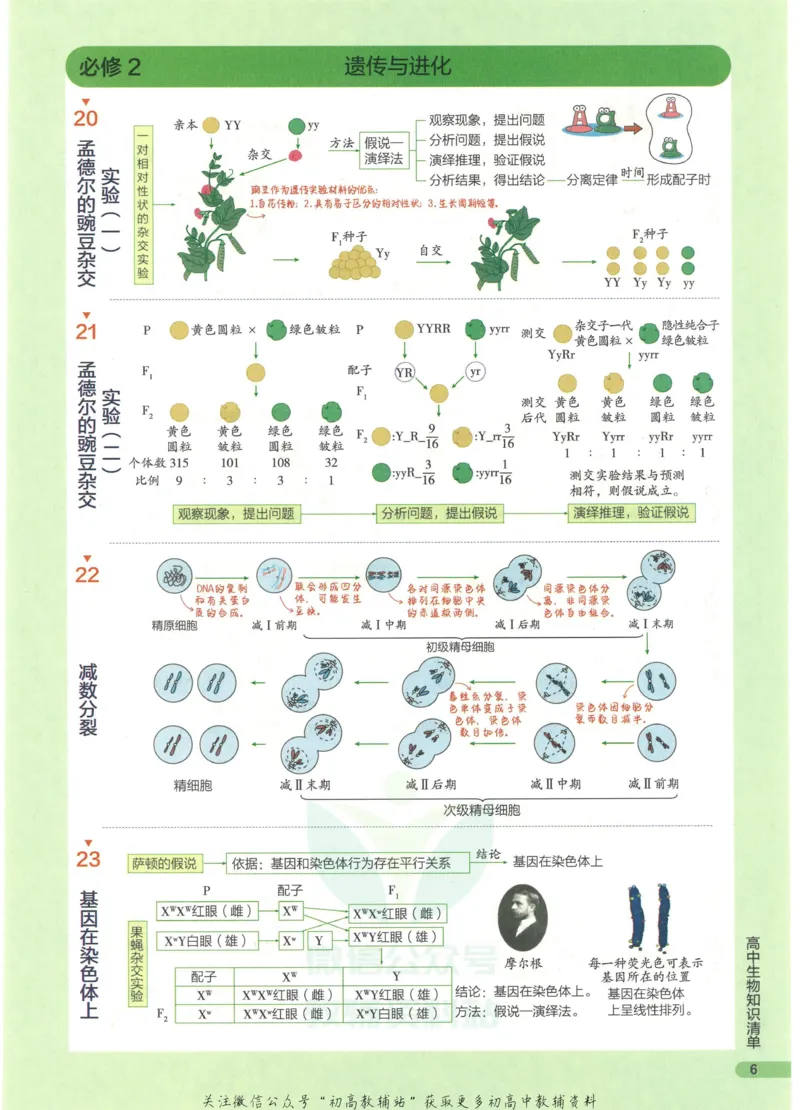 2023版《高中知识清单》生物全国版知识图谱_高中三年全科资料_高中三年全科资料_生物