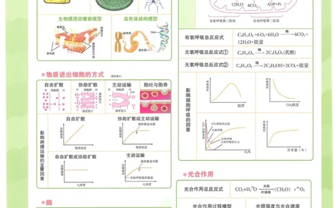 2023版《高中知识清单》生物新教材版知识图谱_高中三年全科资料_高中三年全科资料_生物