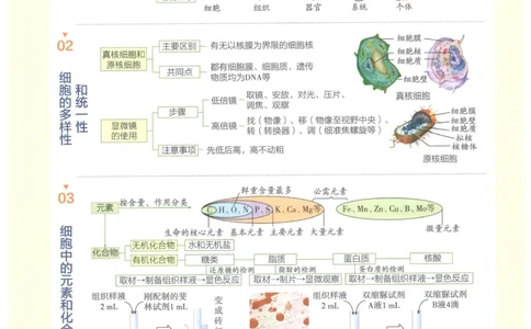 2023版《高中知识清单》生物新教材版知识图谱_高中三年全科资料_高中三年全科资料_生物