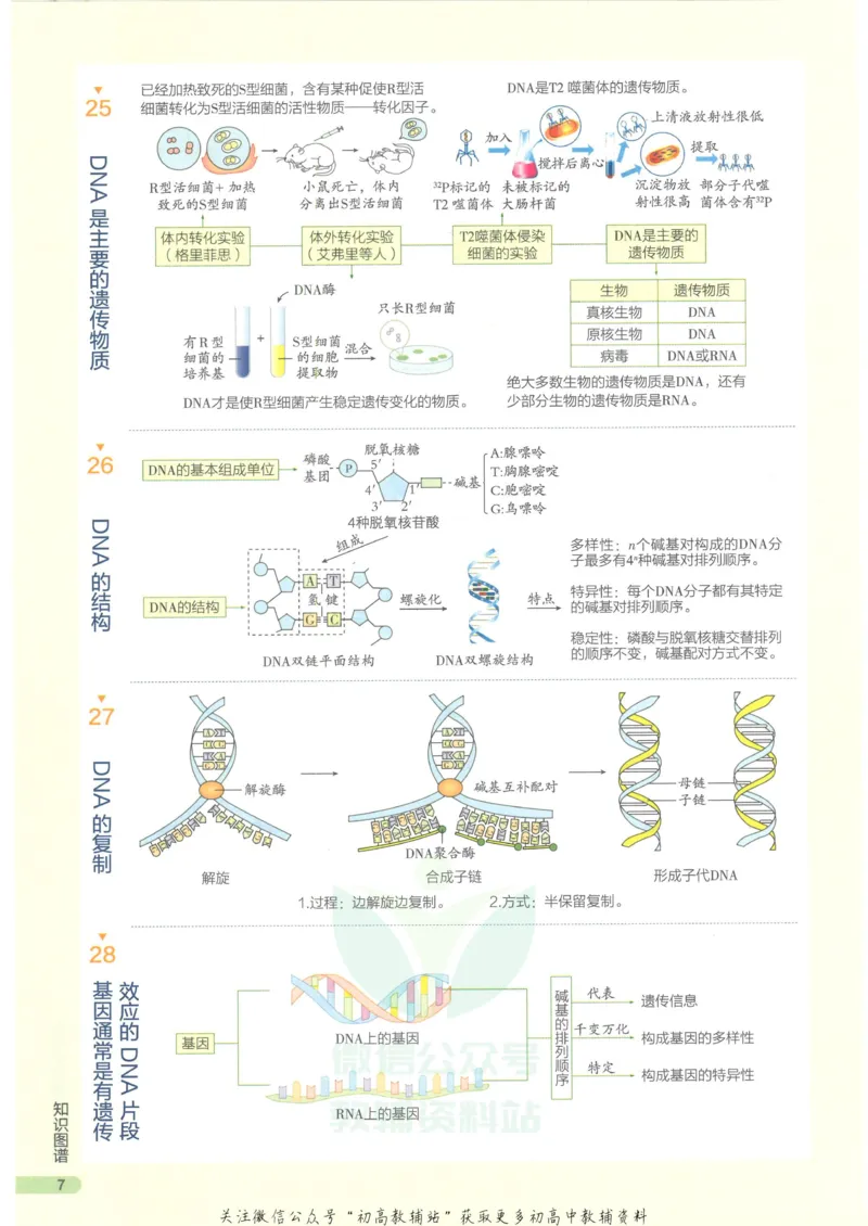 2023版《高中知识清单》生物新教材版知识图谱_高中三年全科资料_高中三年全科资料_生物