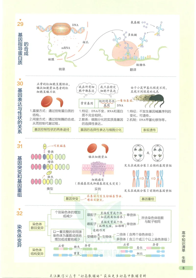 2023版《高中知识清单》生物新教材版知识图谱_高中三年全科资料_高中三年全科资料_生物
