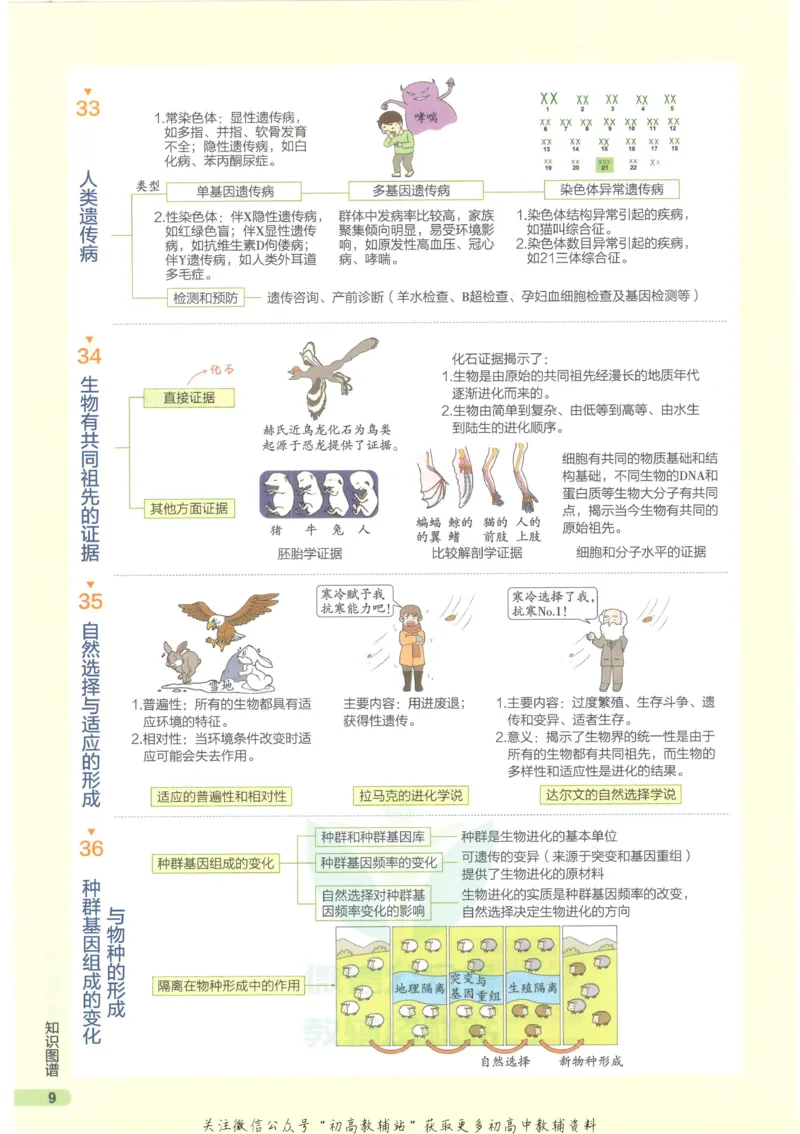2023版《高中知识清单》生物新教材版知识图谱_高中三年全科资料_高中三年全科资料_生物