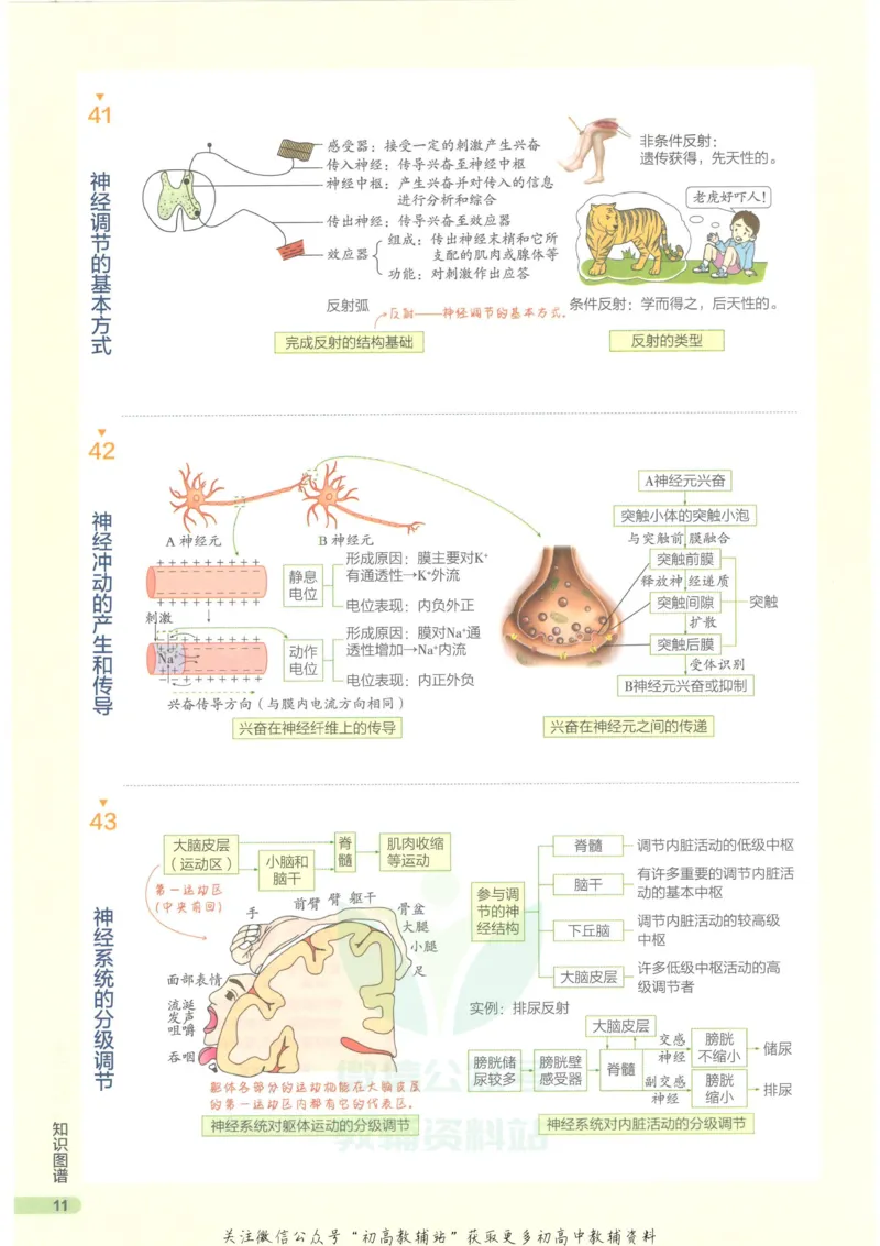 2023版《高中知识清单》生物新教材版知识图谱_高中三年全科资料_高中三年全科资料_生物