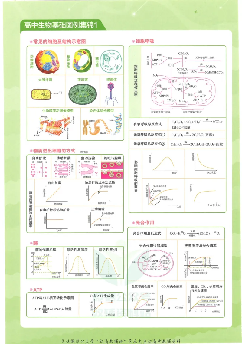 2023版《高中知识清单》生物新教材版知识图谱_高中三年全科资料_高中三年全科资料_生物