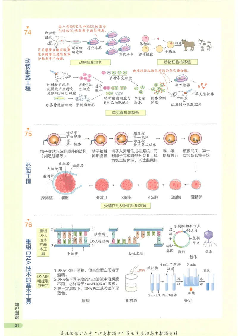 2023版《高中知识清单》生物新教材版知识图谱_高中三年全科资料_高中三年全科资料_生物