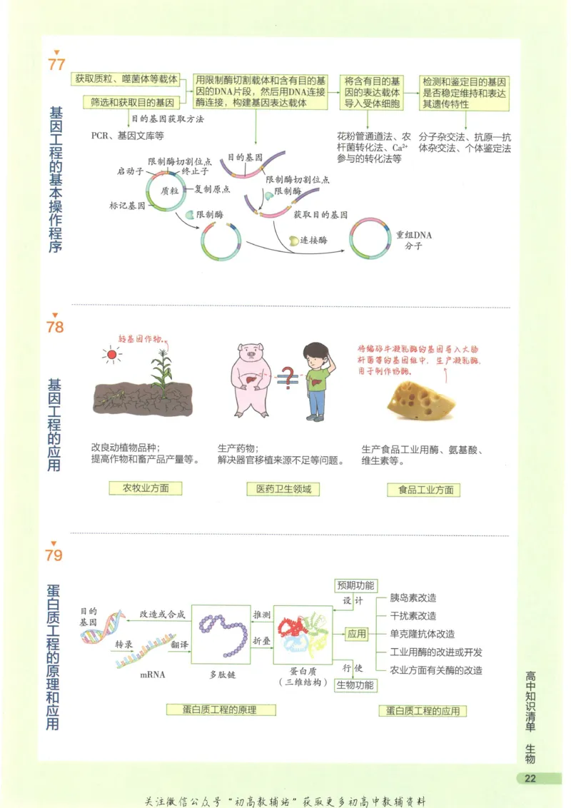2023版《高中知识清单》生物新教材版知识图谱_高中三年全科资料_高中三年全科资料_生物