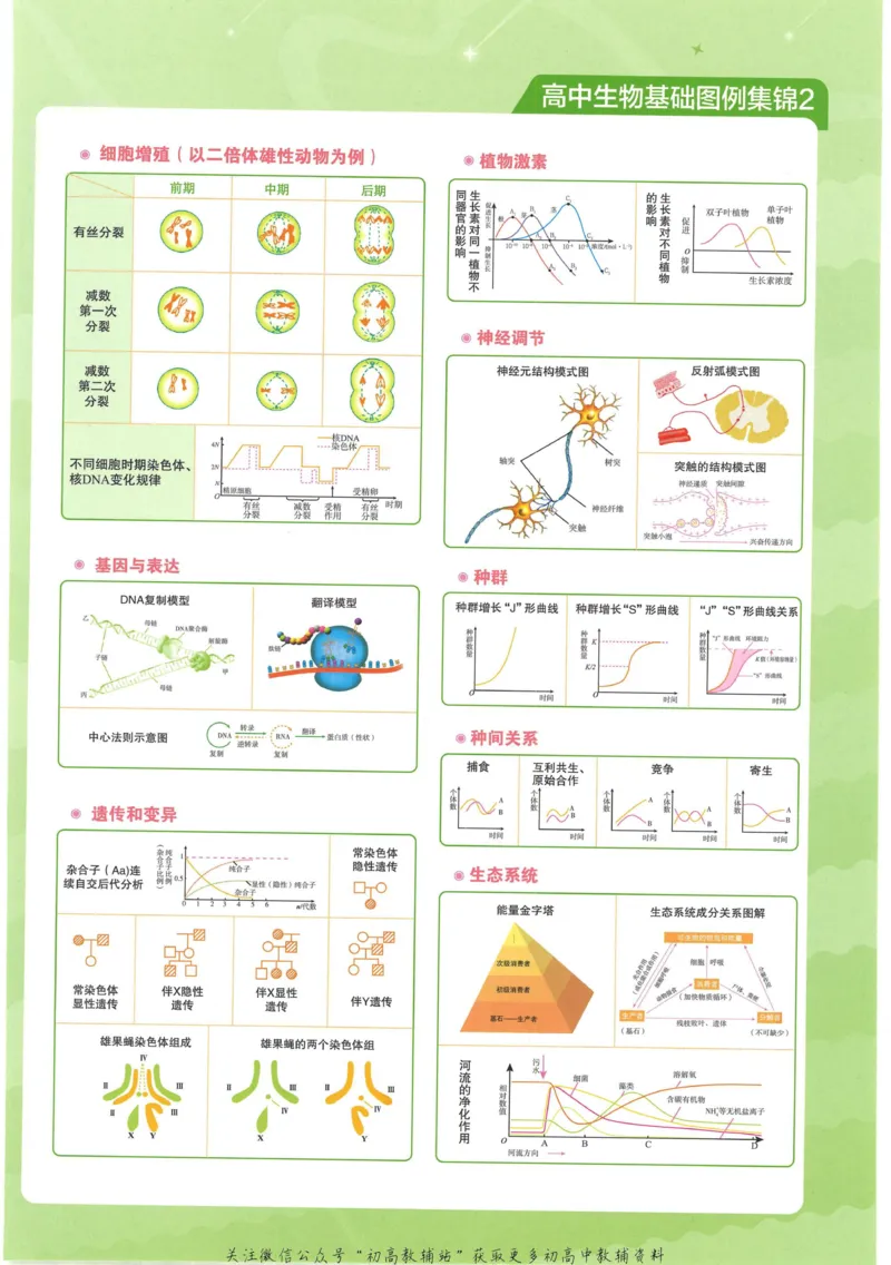 2023版《高中知识清单》生物新教材版知识图谱_高中三年全科资料_高中三年全科资料_生物