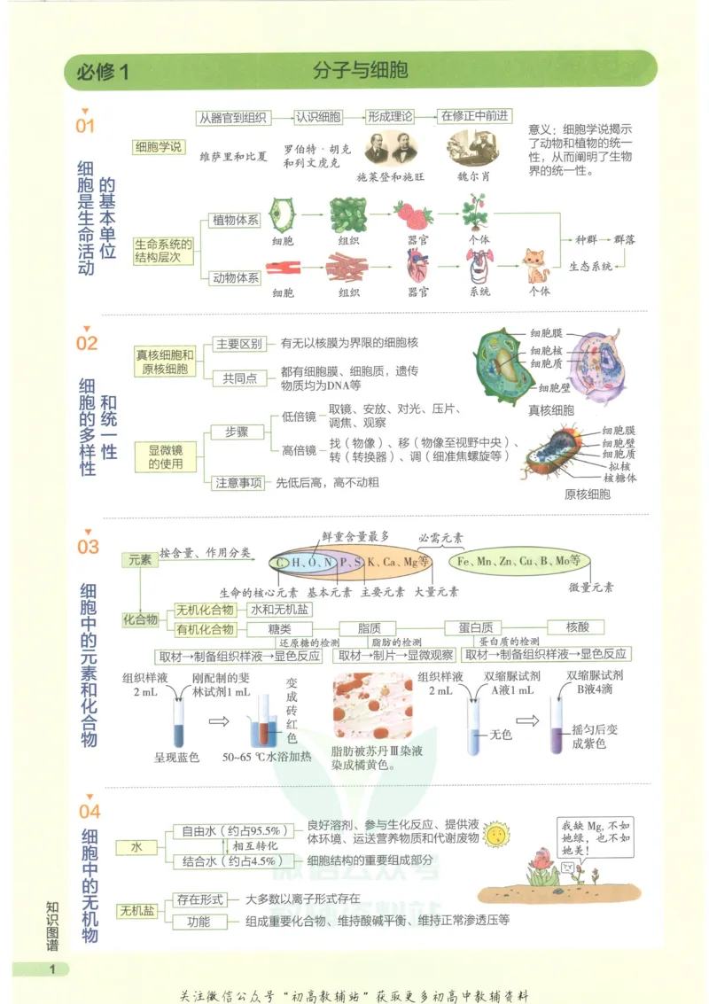 2023版《高中知识清单》生物新教材版知识图谱_高中三年全科资料_高中三年全科资料_生物