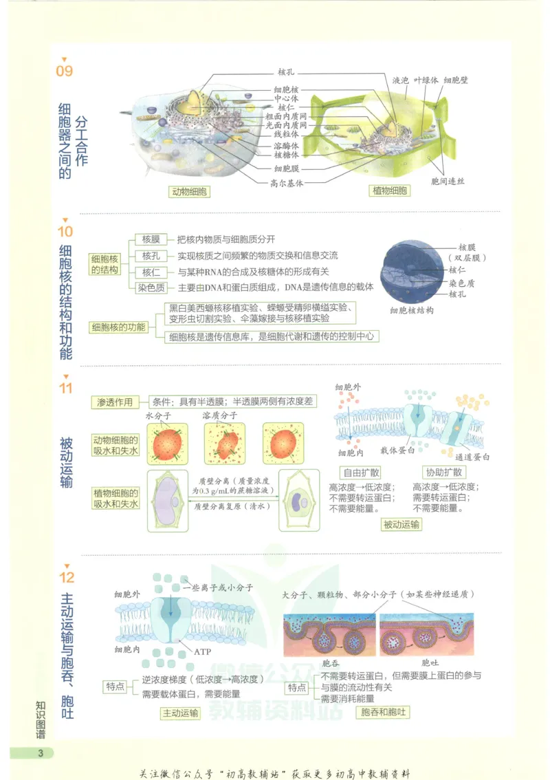 2023版《高中知识清单》生物新教材版知识图谱_高中三年全科资料_高中三年全科资料_生物