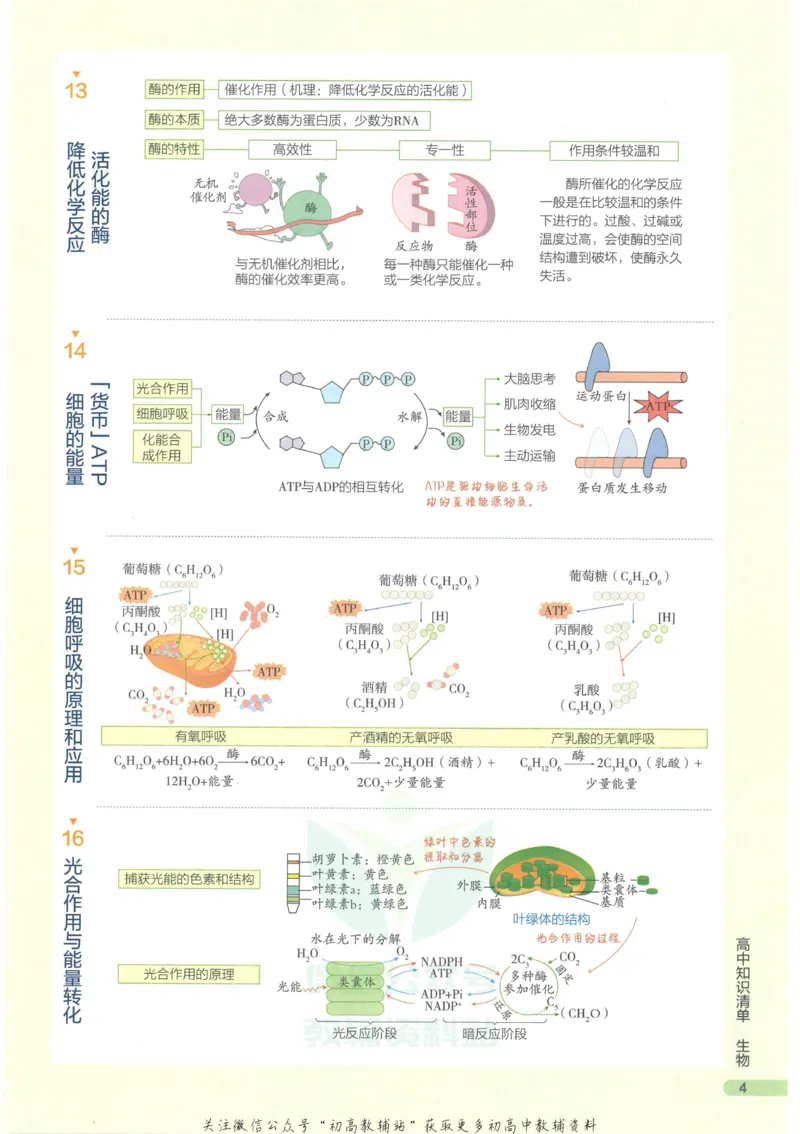 2023版《高中知识清单》生物新教材版知识图谱_高中三年全科资料_高中三年全科资料_生物