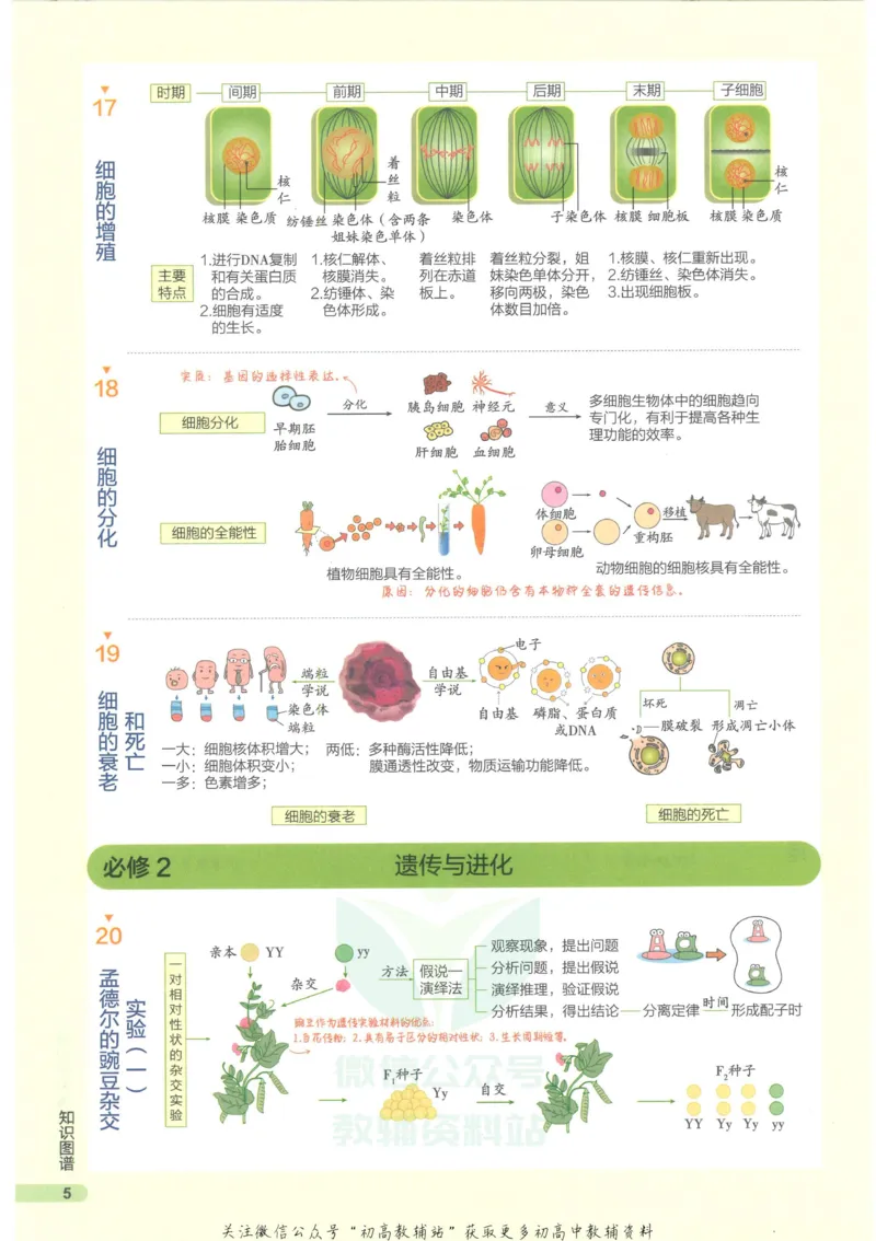 2023版《高中知识清单》生物新教材版知识图谱_高中三年全科资料_高中三年全科资料_生物