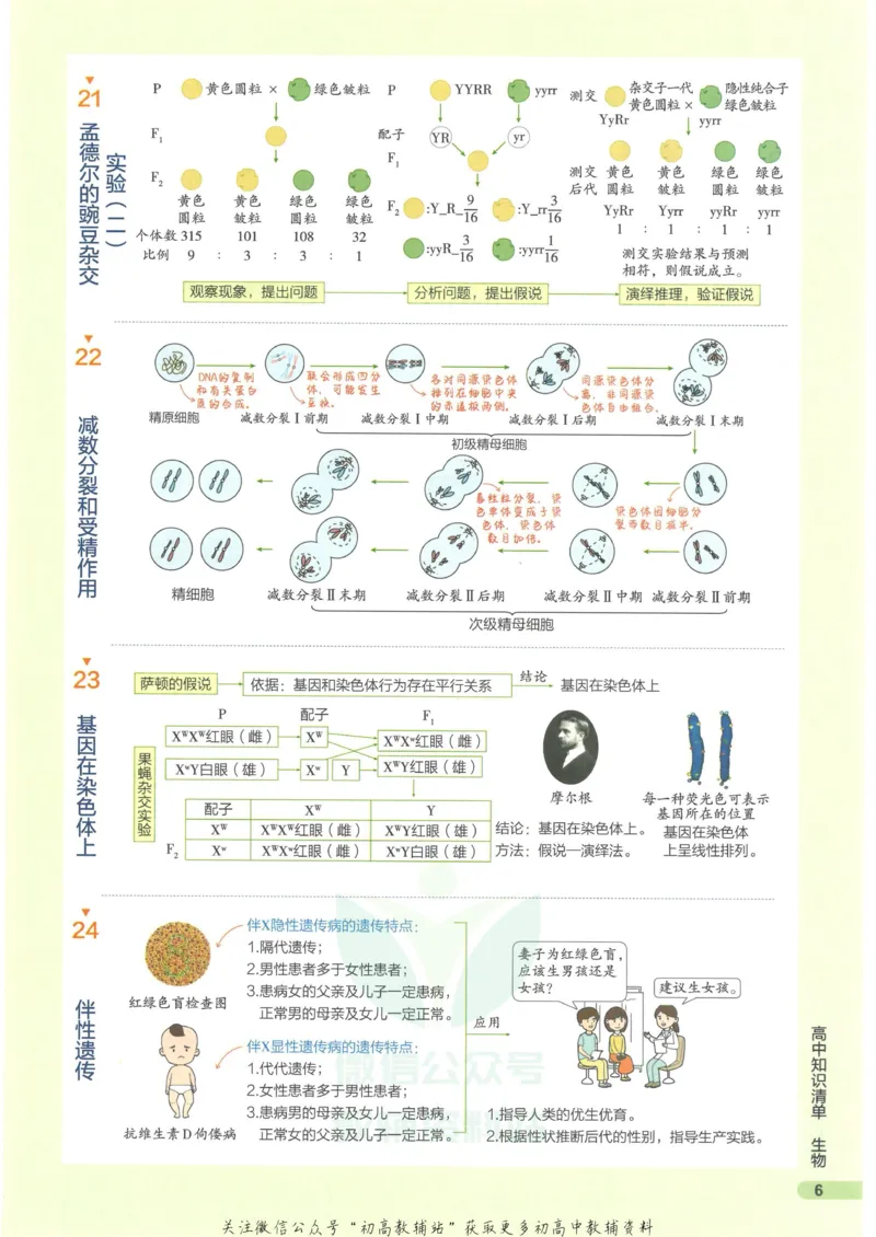 2023版《高中知识清单》生物新教材版知识图谱_高中三年全科资料_高中三年全科资料_生物
