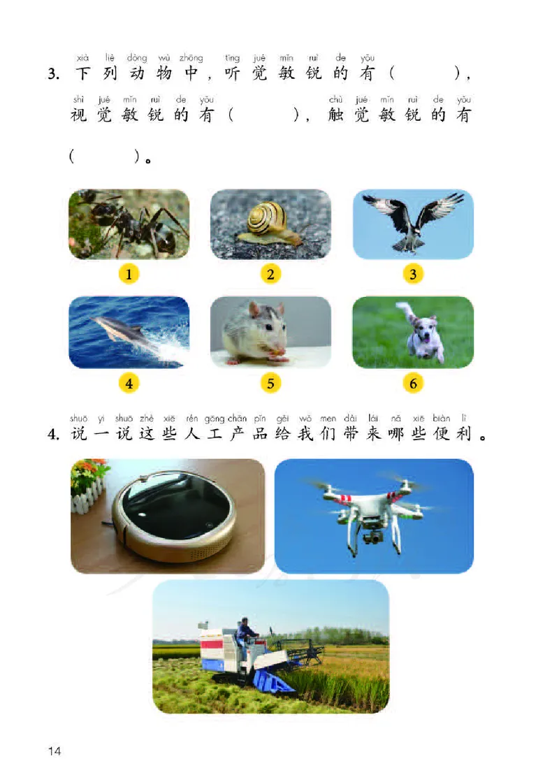人教版科学二年级活动手册下册_电子课本_小学电子课本_05科学_人教版_人教版科学1-3年级下册课本、活动手册及教师用书