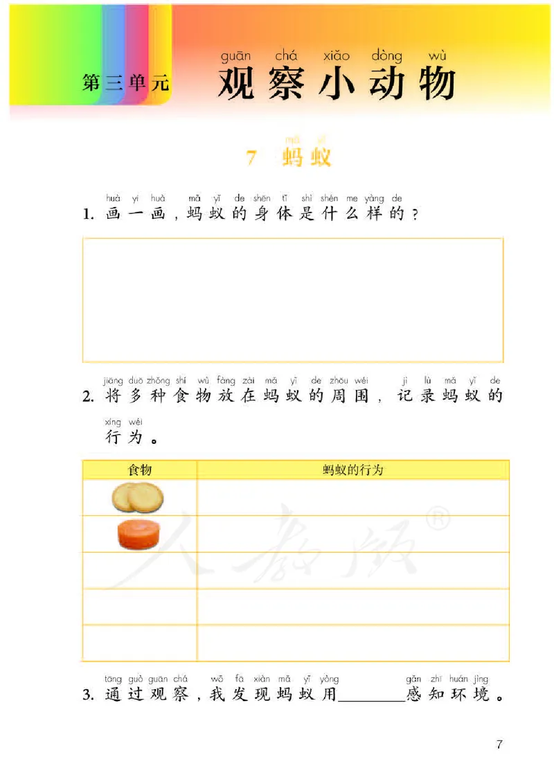 人教版科学二年级活动手册下册_电子课本_小学电子课本_05科学_人教版_人教版科学1-3年级下册课本、活动手册及教师用书