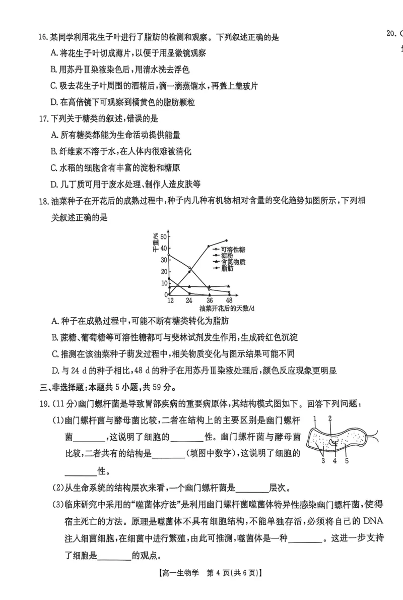 河北省邢台市2025-2026学年高一上学期第一次月考生物试卷（扫描版，有解析）_2025年11月高一试卷_251103河北省邢台市2025-2026学年高一上学期10月第一次月考