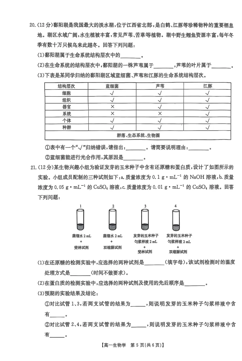 河北省邢台市2025-2026学年高一上学期第一次月考生物试卷（扫描版，有解析）_2025年11月高一试卷_251103河北省邢台市2025-2026学年高一上学期10月第一次月考