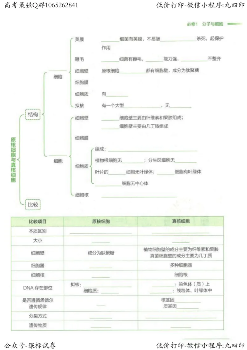 2023新高考生物核心考点基础知识妙招（336页）_高中三年全科资料_高中_高中知识点整理_生物