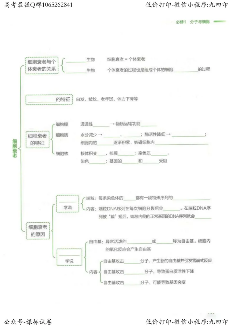 2023新高考生物核心考点基础知识妙招（336页）_高中三年全科资料_高中_高中知识点整理_生物