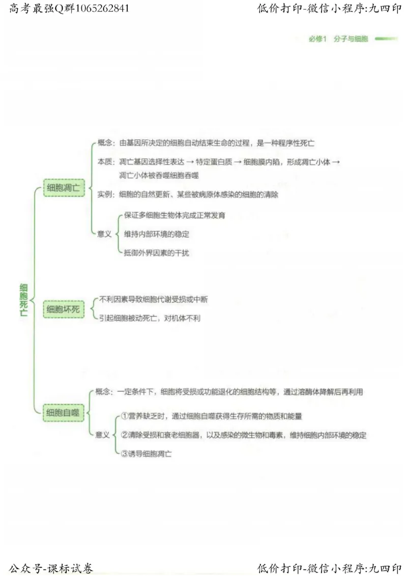 2023新高考生物核心考点基础知识妙招（336页）_高中三年全科资料_高中_高中知识点整理_生物