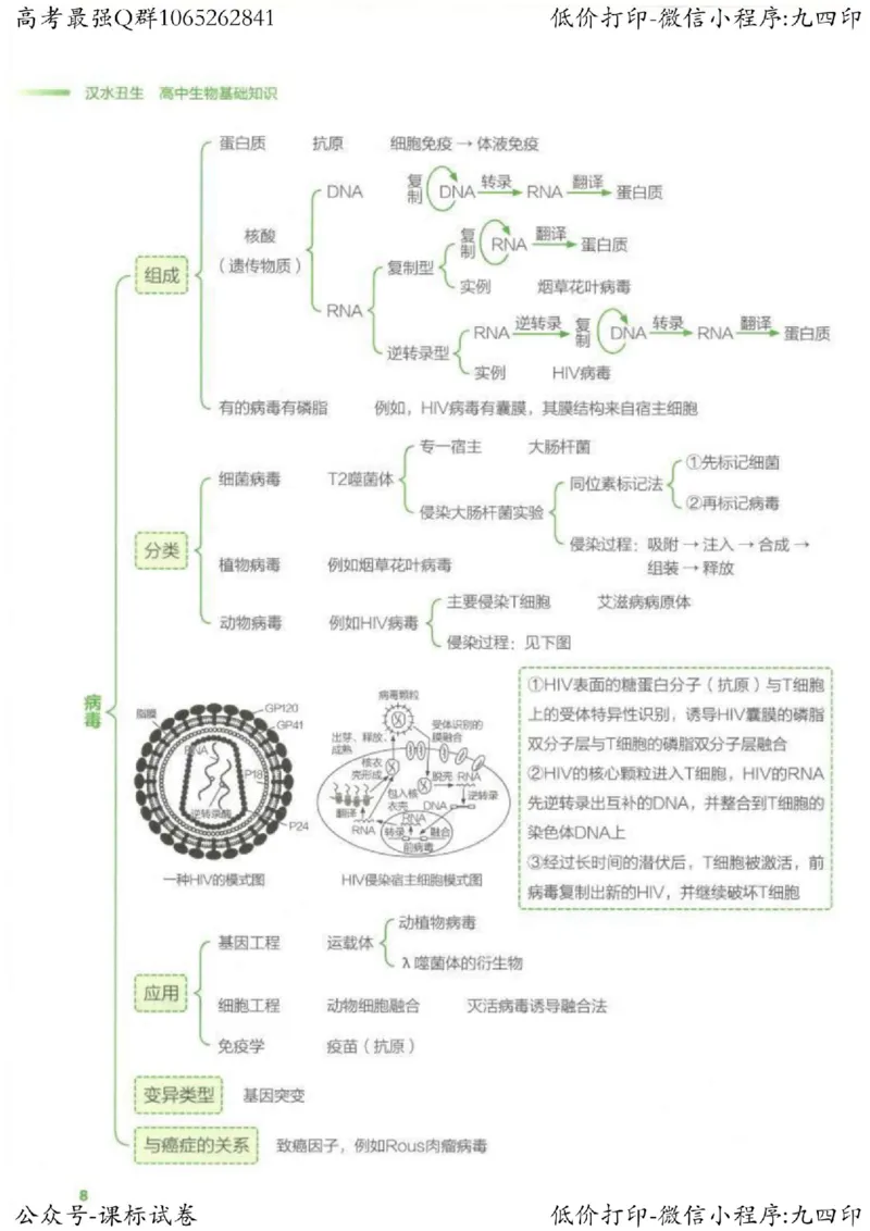2023新高考生物核心考点基础知识妙招（336页）_高中三年全科资料_高中_高中知识点整理_生物