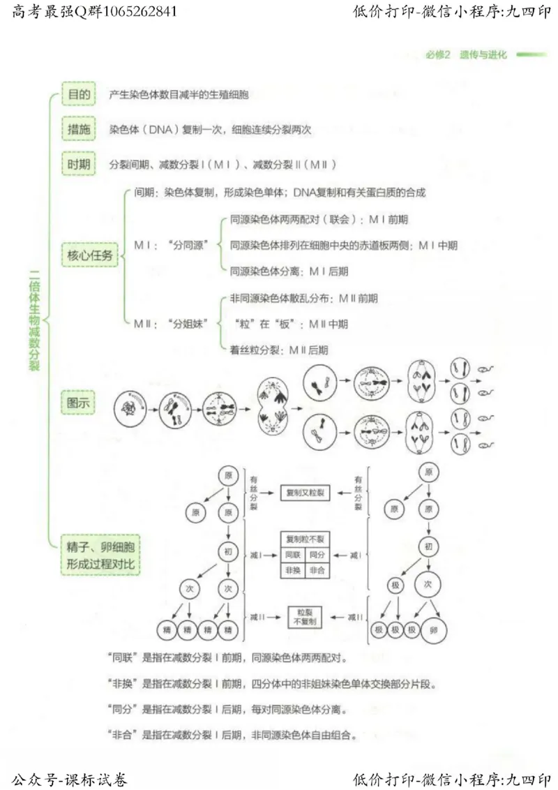 2023新高考生物核心考点基础知识妙招（336页）_高中三年全科资料_高中_高中知识点整理_生物