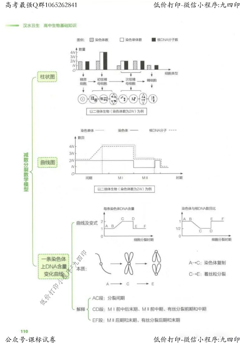 2023新高考生物核心考点基础知识妙招（336页）_高中三年全科资料_高中_高中知识点整理_生物