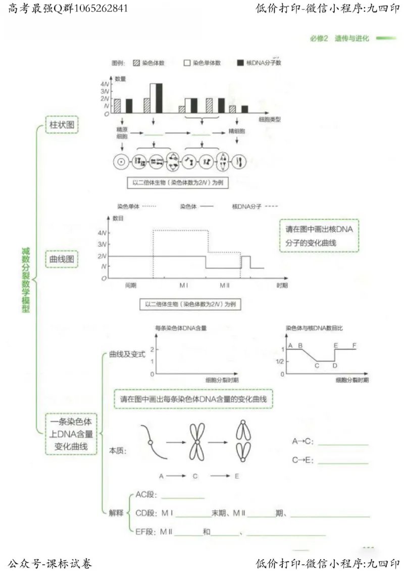 2023新高考生物核心考点基础知识妙招（336页）_高中三年全科资料_高中_高中知识点整理_生物