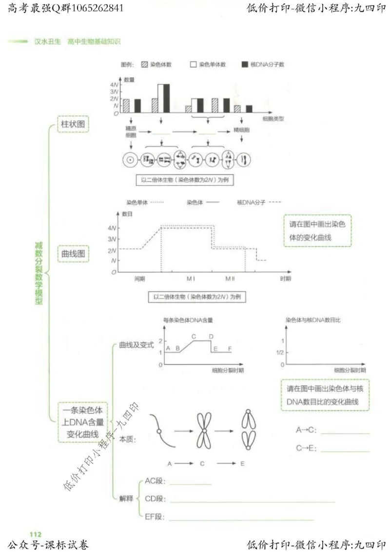 2023新高考生物核心考点基础知识妙招（336页）_高中三年全科资料_高中_高中知识点整理_生物