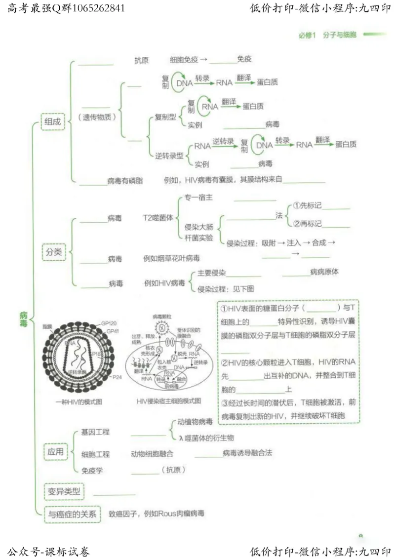 2023新高考生物核心考点基础知识妙招（336页）_高中三年全科资料_高中_高中知识点整理_生物