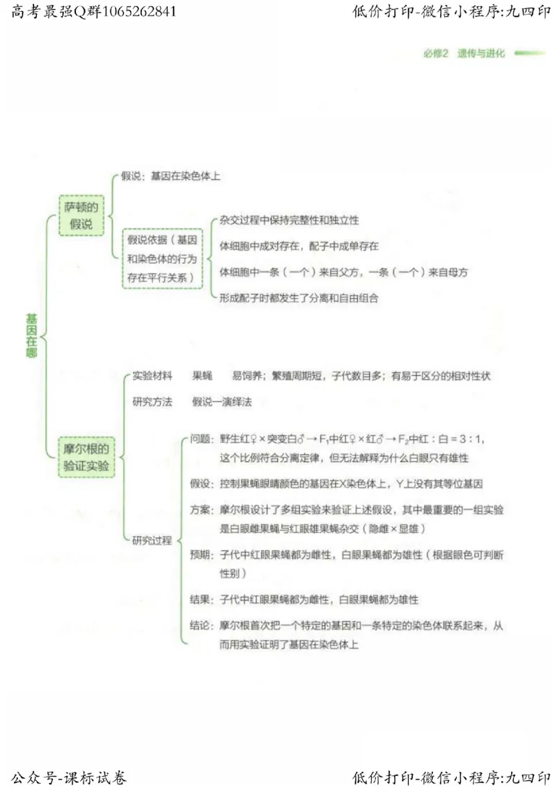 2023新高考生物核心考点基础知识妙招（336页）_高中三年全科资料_高中_高中知识点整理_生物