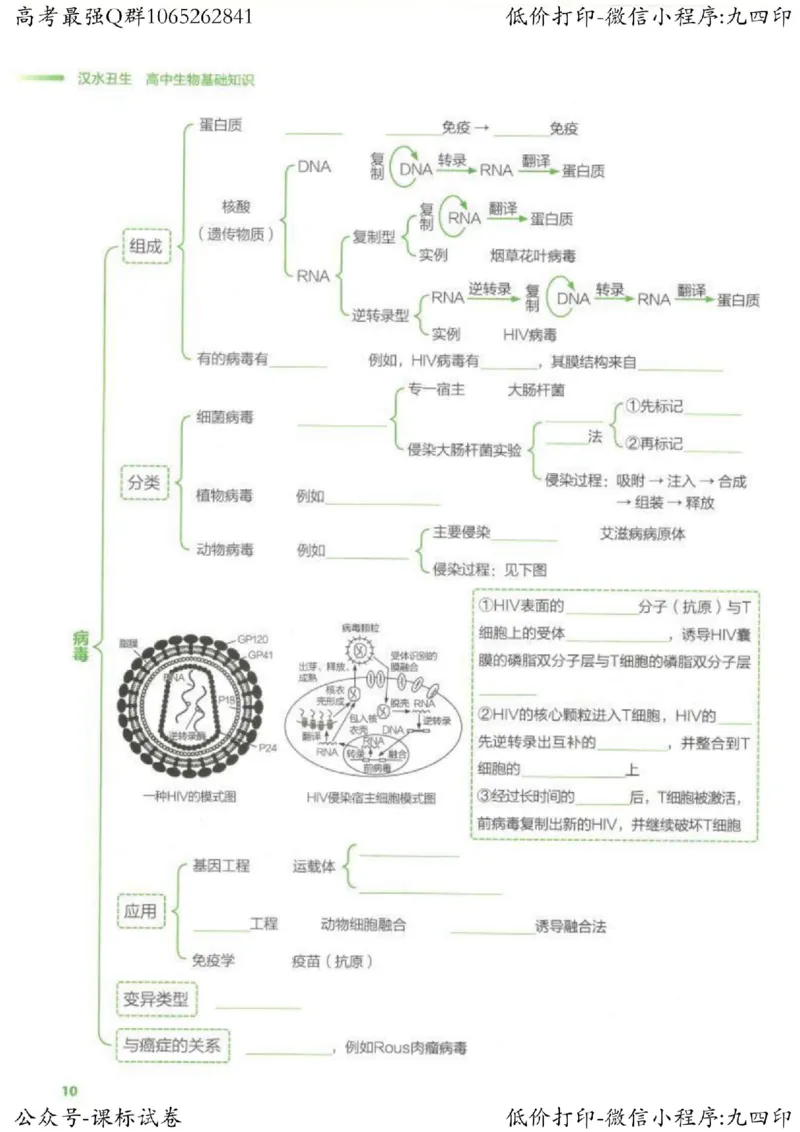 2023新高考生物核心考点基础知识妙招（336页）_高中三年全科资料_高中_高中知识点整理_生物
